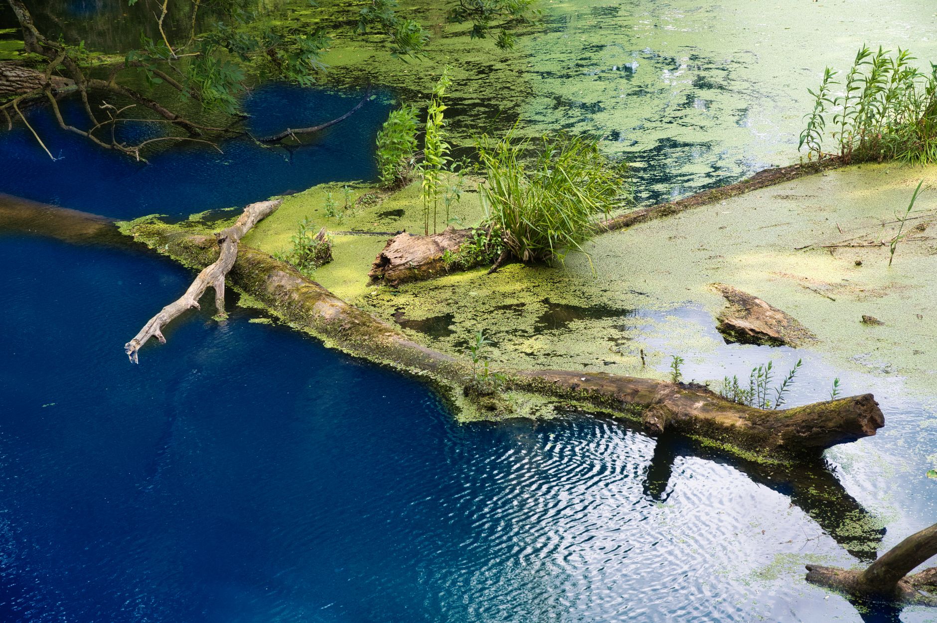 Pourquoi la baignade est-elle interdite au lac d'Osselle ? La réponse des autorités