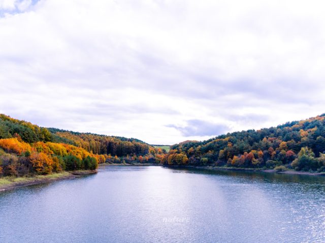 Les implications de l’interdiction de baignade et d’activités nautiques sur le lac de Villerest