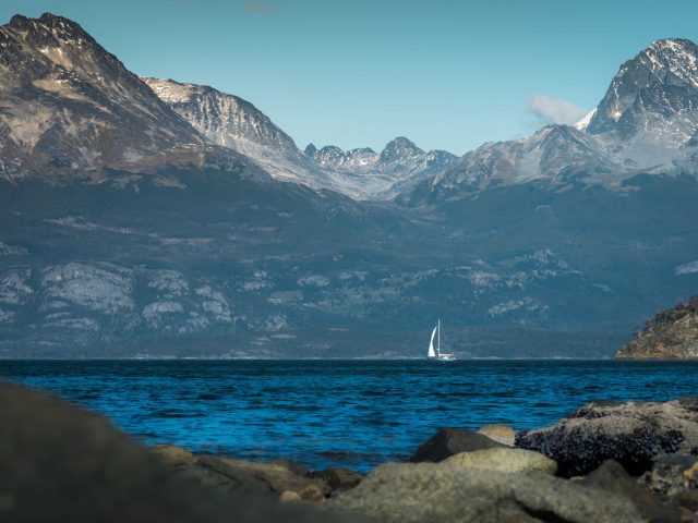 Les cyanobactéries dans les lacs : un danger sous-estimé pour vos chiens