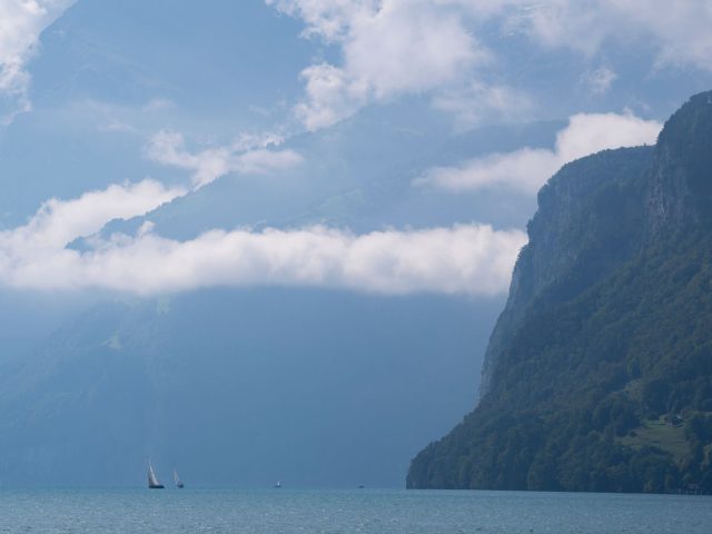 Baignade interdite au lac de la Terrasse : la contamination bactérienne sème la panique