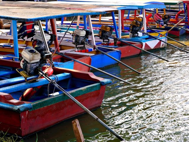 Suzuki ou Yamaha : quel hors-bord pour un bateau de lac